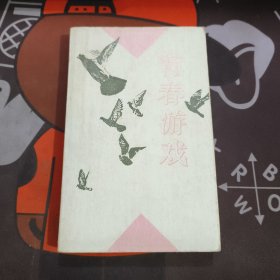 青春游戏.九十年代长篇小说系列