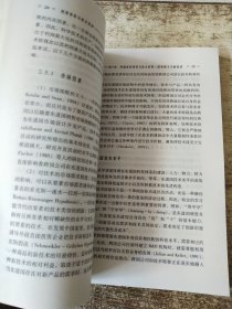 利用外资与技术转移