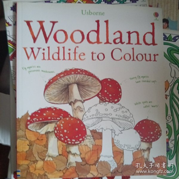 WoodlandsToColourUsborne英文原版
