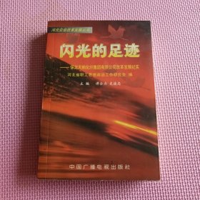 闪光的足迹:保定天鹅化纤集团有限公司改革发展纪实