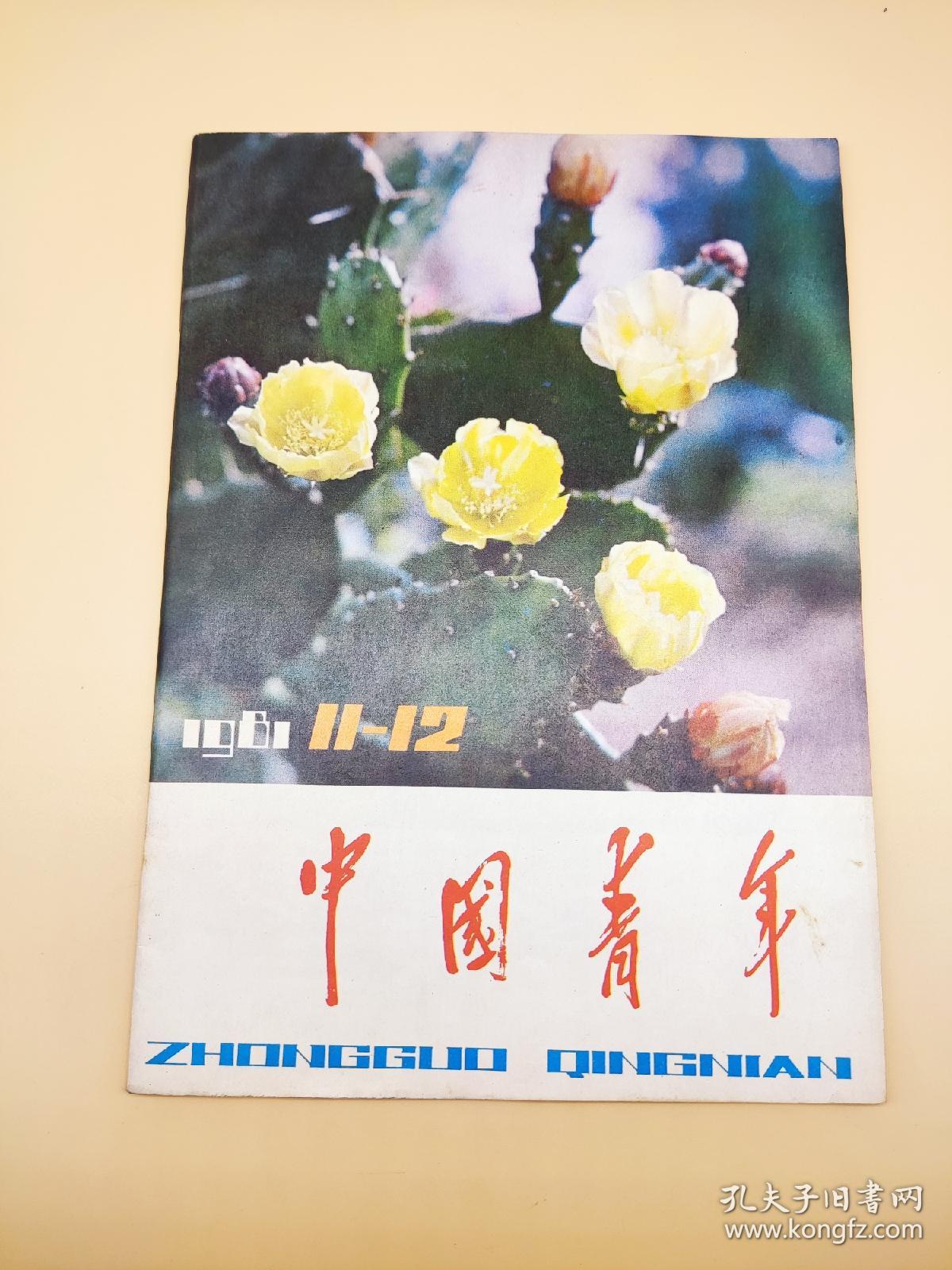 中国青年1981年11~12