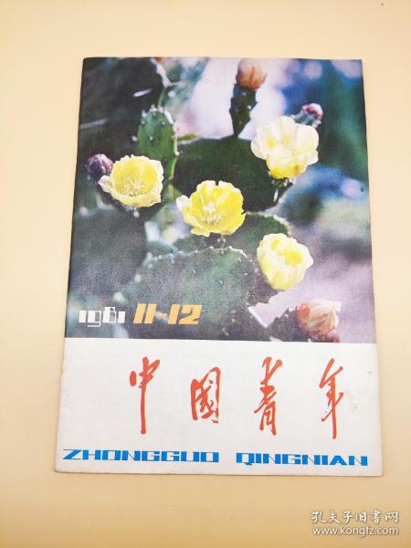 中国青年1981年11~12