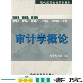 审计学概论樊子君祁渊经济科学出9787505879706