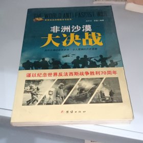 战争纪实 非洲沙漠大决战