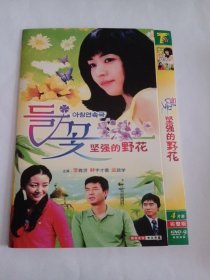 韩剧：坚强的野花 4DVD-9 多单合并运费