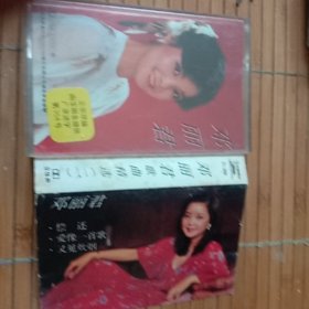 邓丽君磁带歌曲精选2