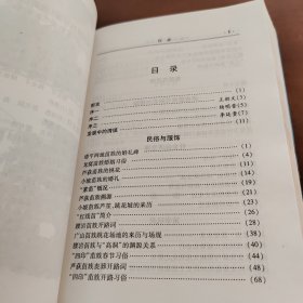 红枫湖畔的苗家 续集