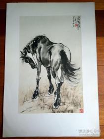 悲鸿画马集