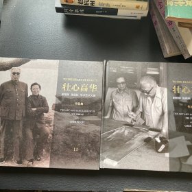 壮心高华 ：谢稚柳、陈佩秋、学术艺术大展作品集（两本合售）