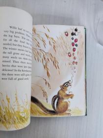 Chipmunk Willie By Harry Baerg illustrations by the Author 1958年 英文原版精装 彩色插图