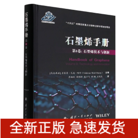 石墨烯手册第8卷：石墨烯技术与创新