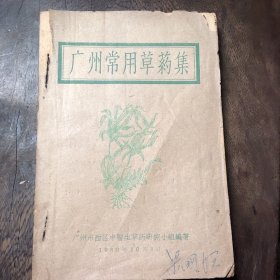 广州常用草药集