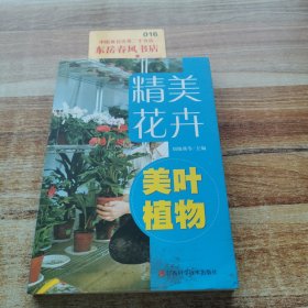 精品花卉——美葉植物