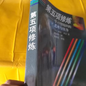 第五项修炼：学习型组织的艺术与实务