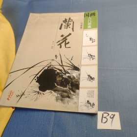 国画入门训练：兰花（写意篇）.