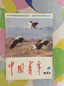 中国青年1981年第8期