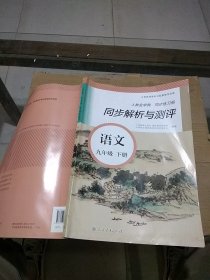 同步解析与测评 语文 九年级下册。