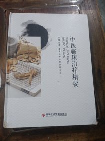 中医临床治疗精要