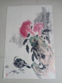 手绘国画 花鸟