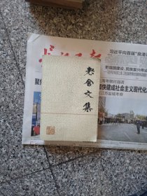 老舍文集（一）