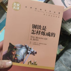 钢铁是怎样炼成的 名家名译世界经典文学名著 原汁原味读原著