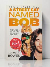 A Street Cat Named Bob by James Bowen 英文原版书