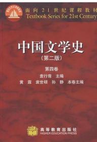 中国文学史 （第二版）第四卷 袁行霈