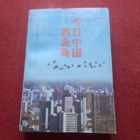 今日中国西北角(11底)