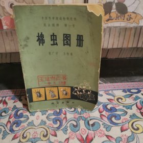 棉虫图册