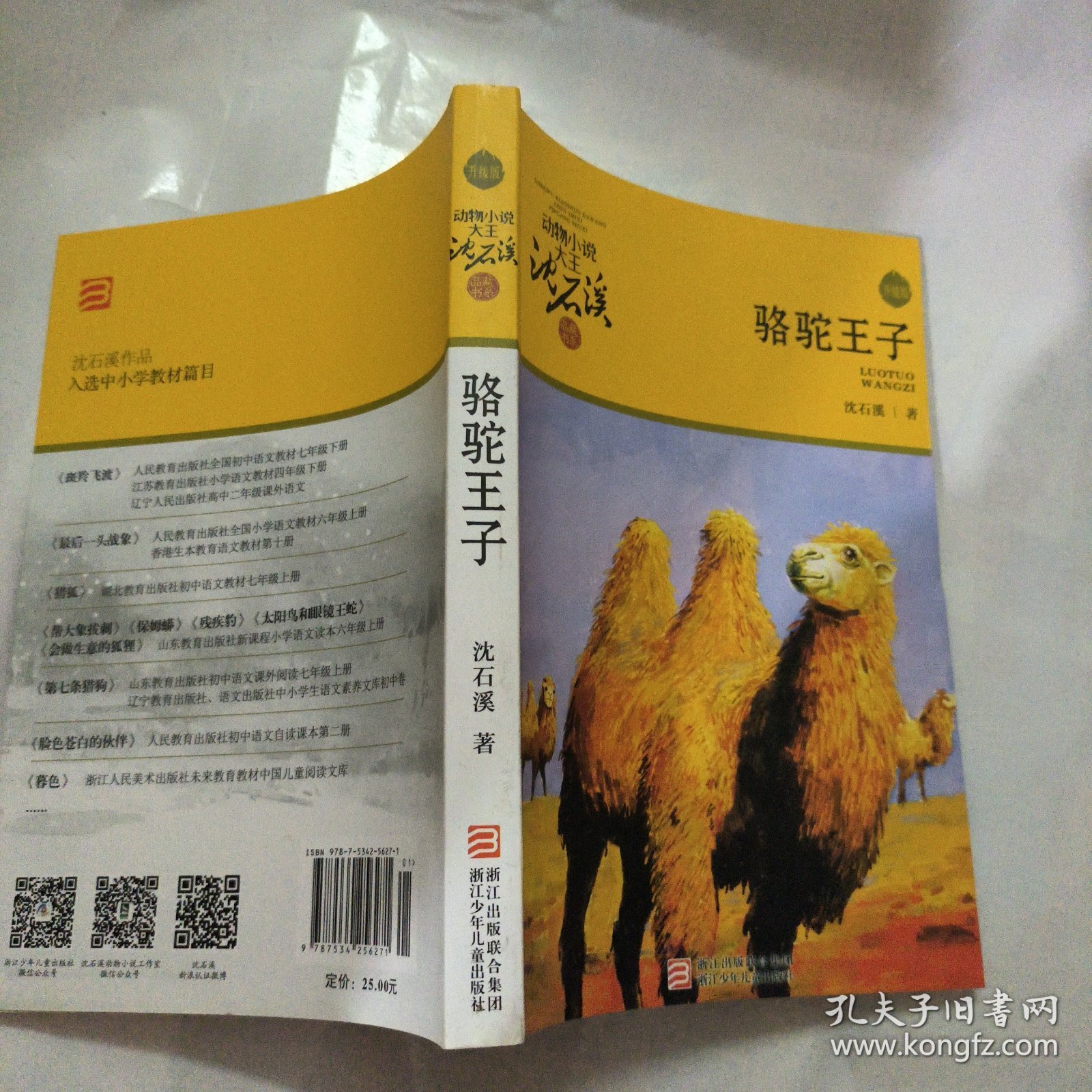 骆驼王子