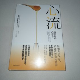 心流：最优体验心理学