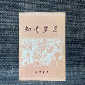 知青岁月  《株洲文史》第26辑