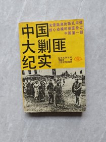 中国大剿匪纪实