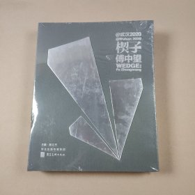 武汉2020楔子傅中望（全新未拆封）