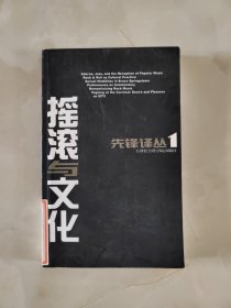 摇滚与文化：先锋译丛