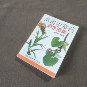 常用中草药彩色图集