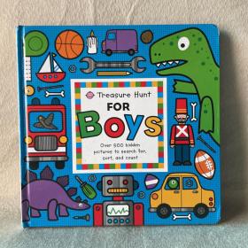 Treasure Hunt for Boys (Priddy Books Big Ideas for Little People) [Board book]