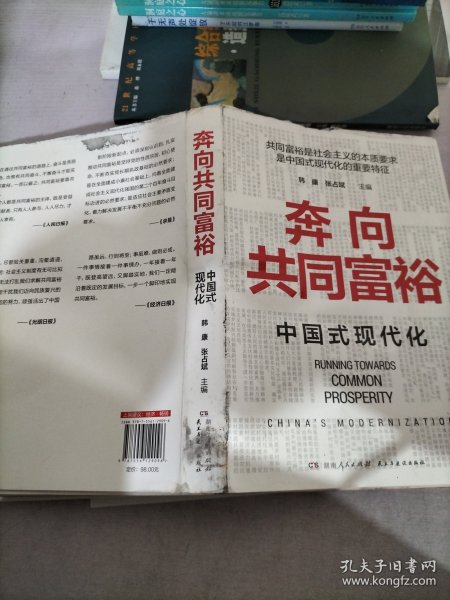 奔向共同富裕（读懂共同富裕，看清未来中国！深入浅出，雅俗共赏，两大TOP级智库联袂巨献，通俗理论重磅大作！）