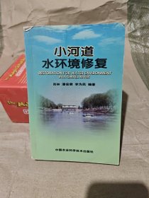 小河道水环境修复