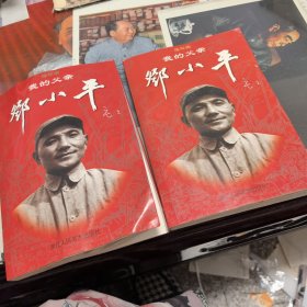 我的父亲邓小平(上下)