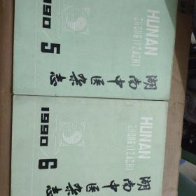湖南中医杂志 1990年第5、6期