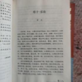 中国美学重要文本提要 上下