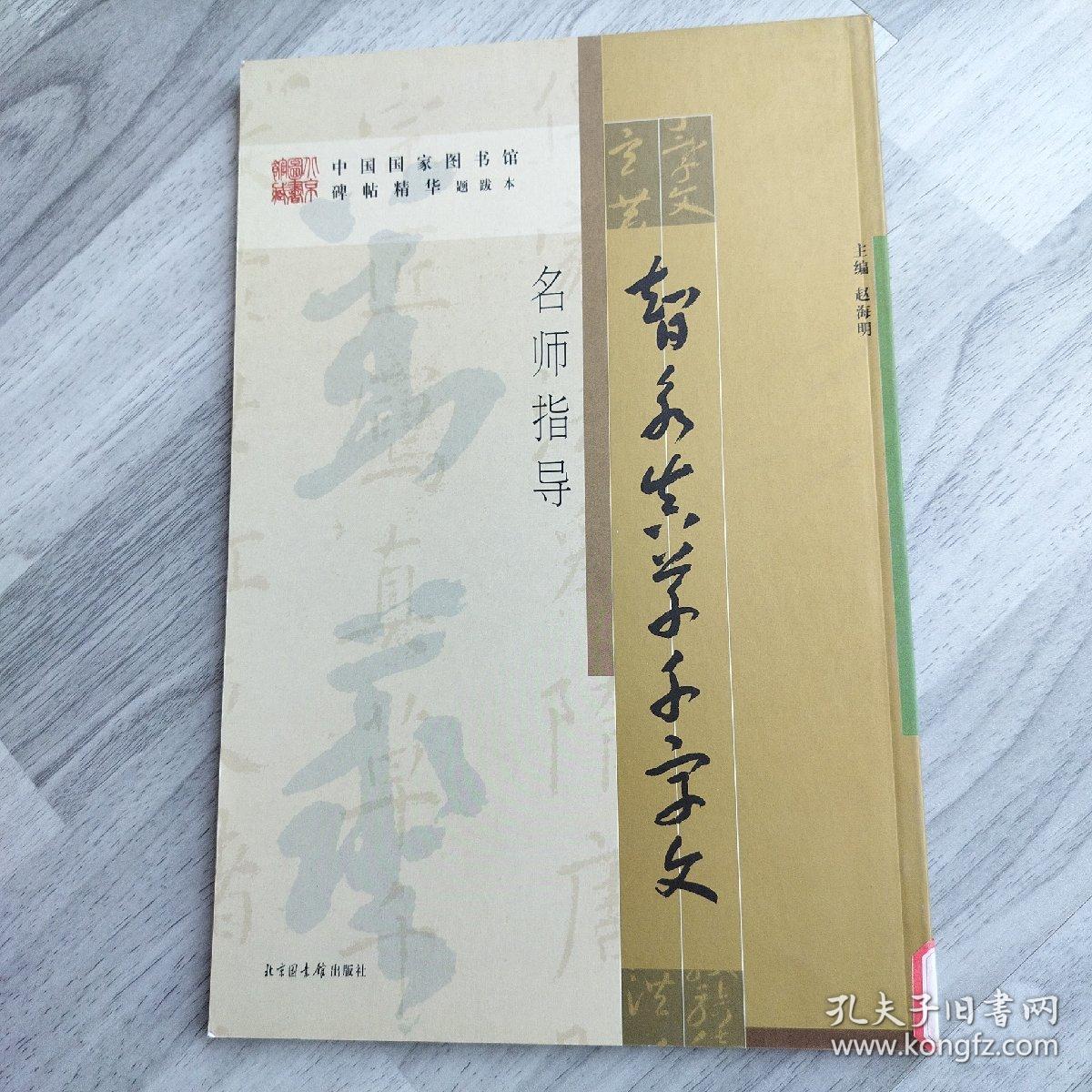 《智永真草千字文》名师指导——《中国国家图书馆藏碑帖精华》名师指导丛书》