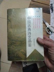 中国古典诗艺品鉴