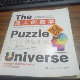 迷人的数学——315个烧脑游戏玩通数学史