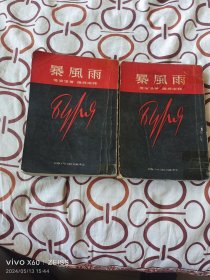 暴风雨（上、下，全2册合售）（  爱伦堡 著 罗稷南 译， 时代出版社1953年四版印刷，25开平装本，馆藏图书，详情请见文字说明和图片）