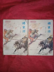 传统评书 杨家将 (上下)