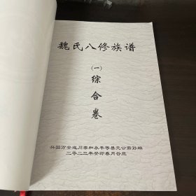 魏氏八修族谱（一）综合卷 未订装书壳