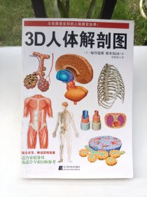 3D人体解剖图