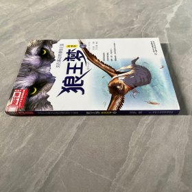 儿童文学名家典藏漫画·沈石溪动物漫画王国——狼王梦6·漫画版